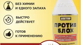 Чем можно вывести клопов в домашних условиях в Концепт Клаб
