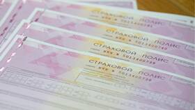Что называют страховым полисом в Концепт Клаб