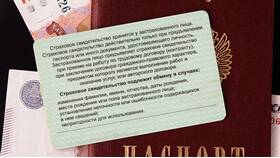Что нужно для получения СНИЛС новорожденному в Концепт Клаб
