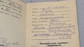 Что писать в паспорте собаки в Концепт Клаб