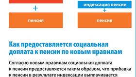 Что такое социальная государственная пенсия в Концепт Клаб