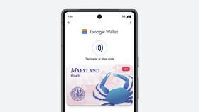 Google Кошелек: что это за приложение в Концепт Клаб