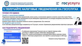 Как правильно использовать портал Госуслуги в Концепт Клаб