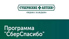 Как работает программа СберСпасибо в Концепт Клаб