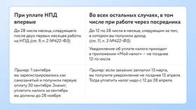 Как самозанятому зарегистрировать ИП и сохранить НПД в Концепт Клаб