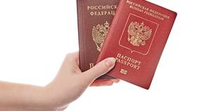 Как скачать паспорт в Концепт Клаб