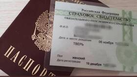 Как узнать владельца по номеру СНИЛС в Концепт Клаб