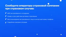 Как включить человека в страховку в Концепт Клаб