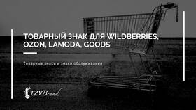 Лимиты и ограничения на заказы в Lamoda в Концепт Клаб